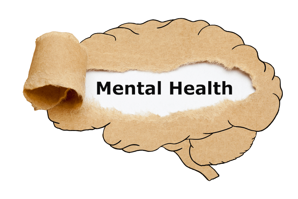 Mental Health is Brain Health
